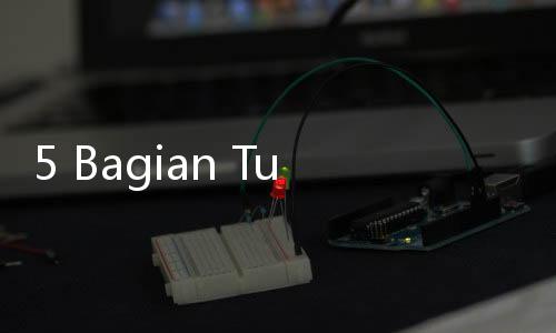 5 Bagian Tubuh Ini Sering Lupa Dibersihkan Saat Mandi
