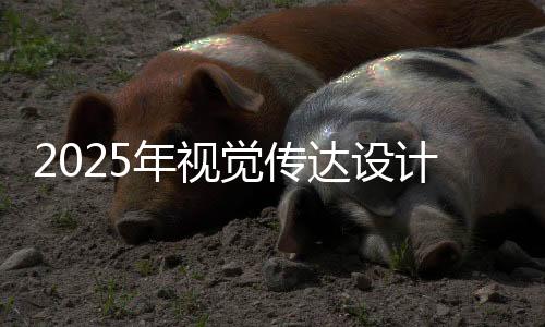 2025年视觉传达设计专业就业前景怎么样?